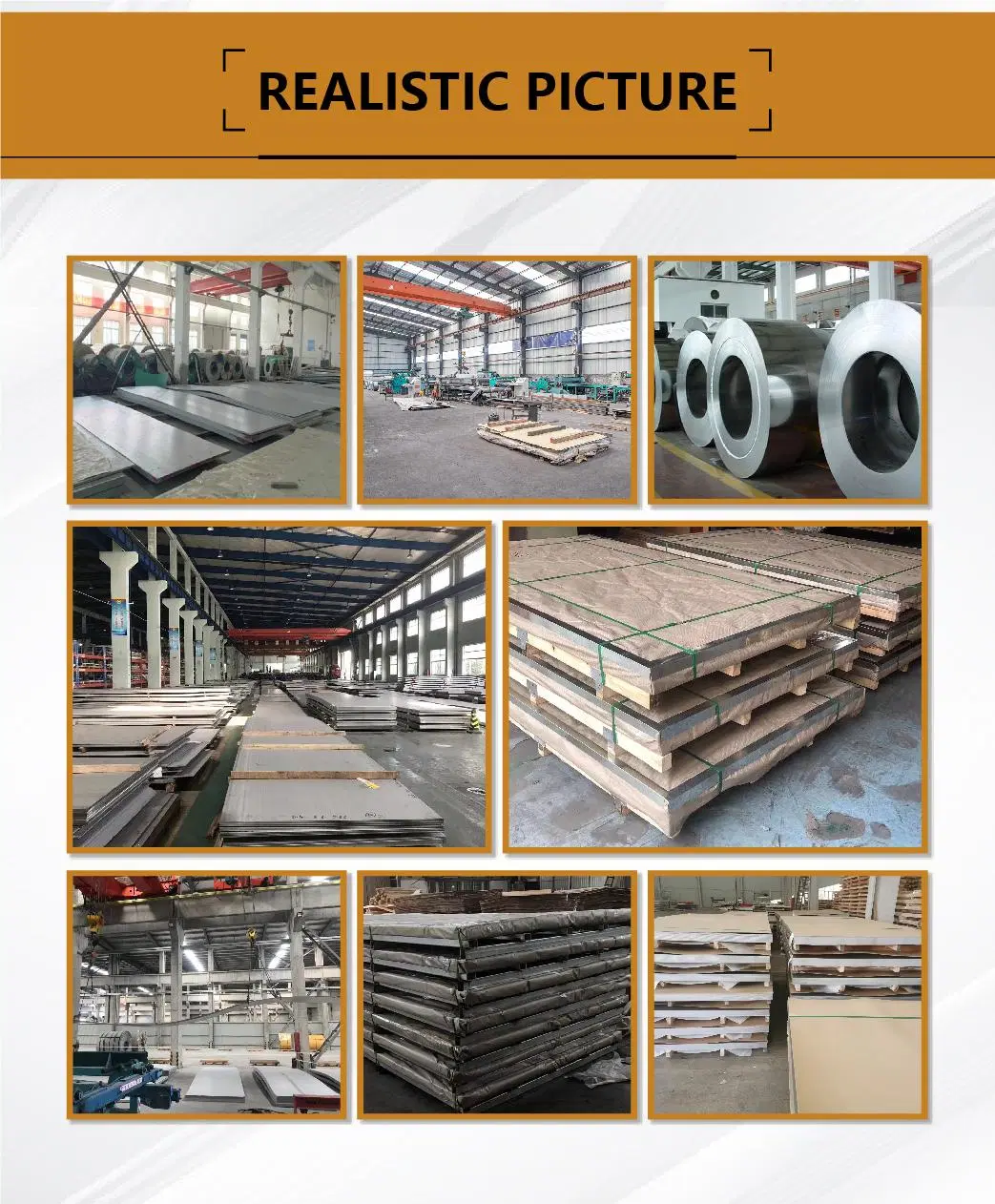 High Quality Stainless Steel Plate (301 302 310)